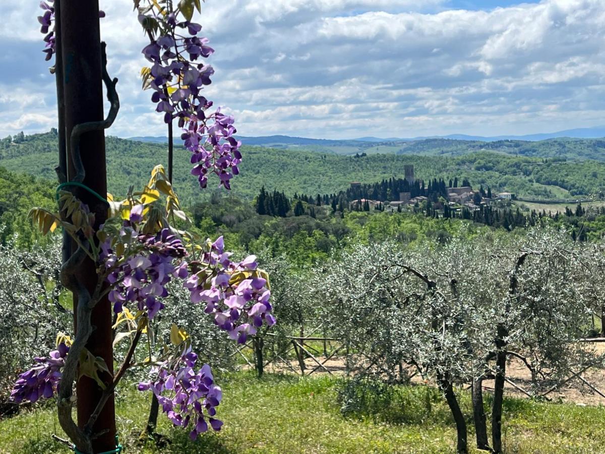 Il Fiorino Di Badia Apartment Badia A Passigano Екстериор снимка